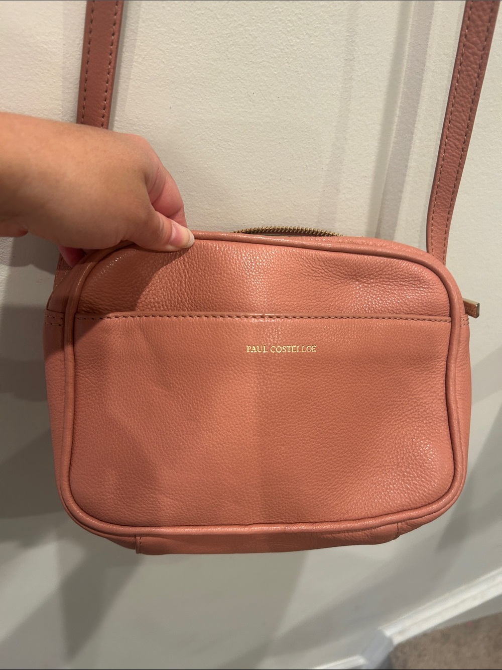 Paul Costelloe Pebbled Leather Crossbody Bag in Dusty Rose